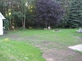 Back Lawn - Day 18